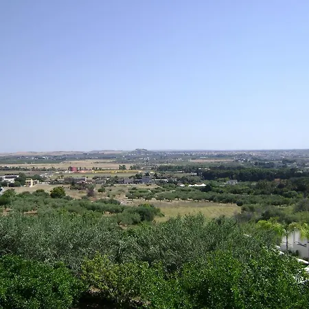 Torrebianca